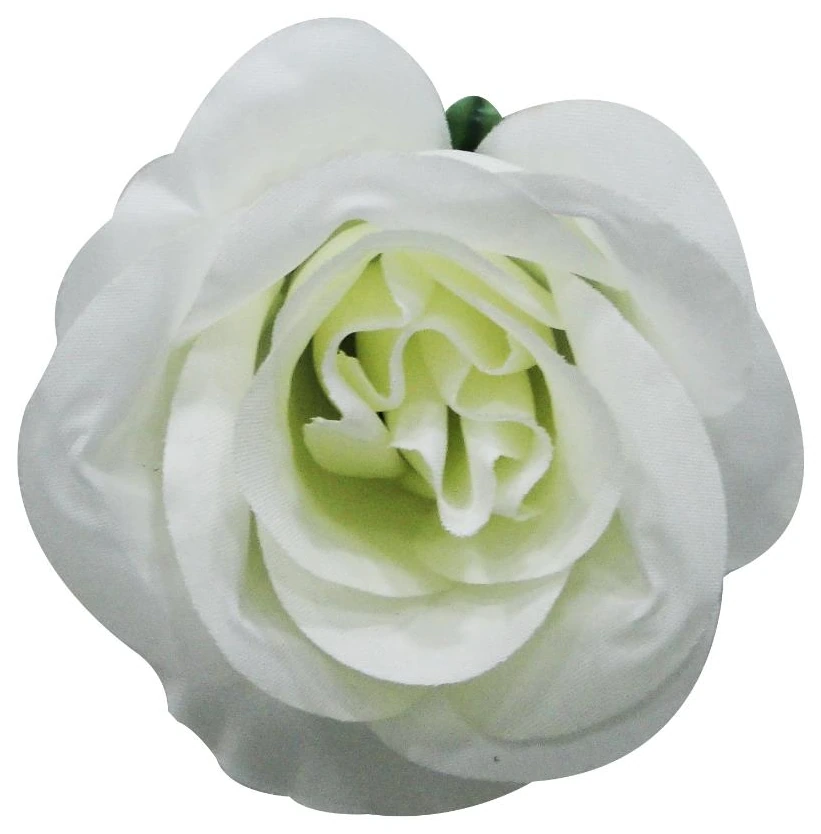 Rose Bud Med